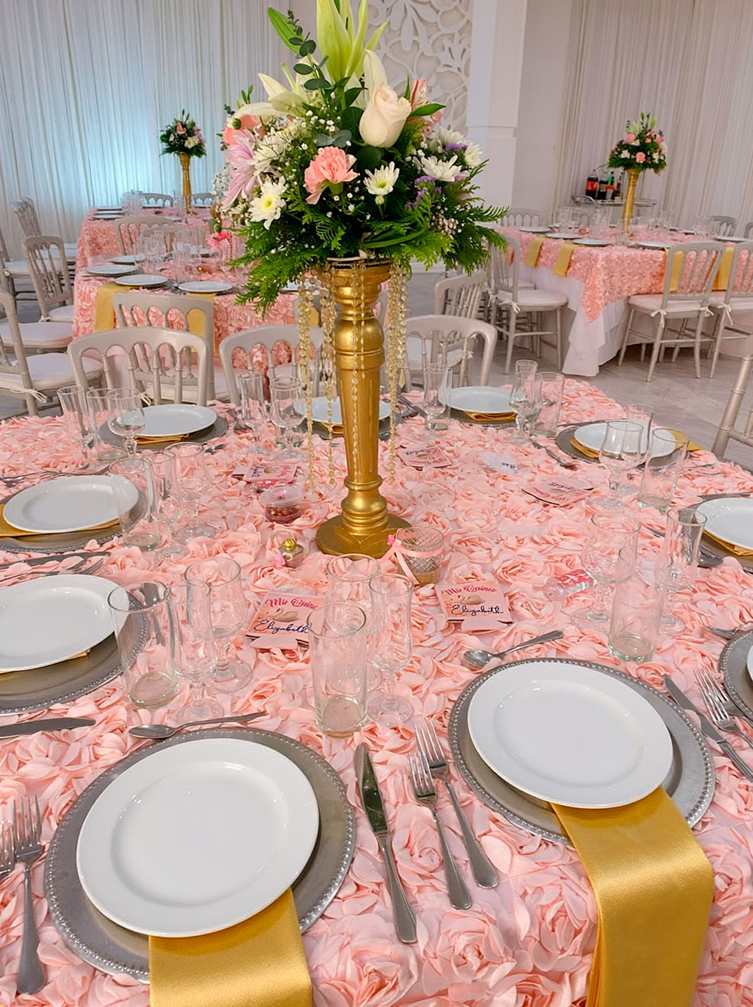 salon_anexo_rosimar_04